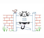 cat and bird