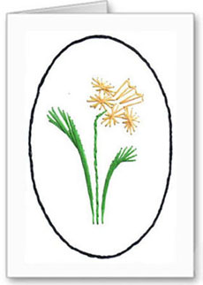 daffodil