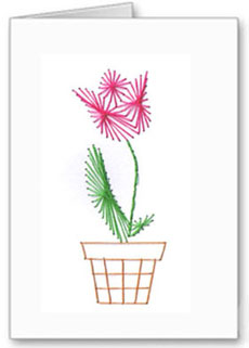 potted tulip