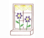 window